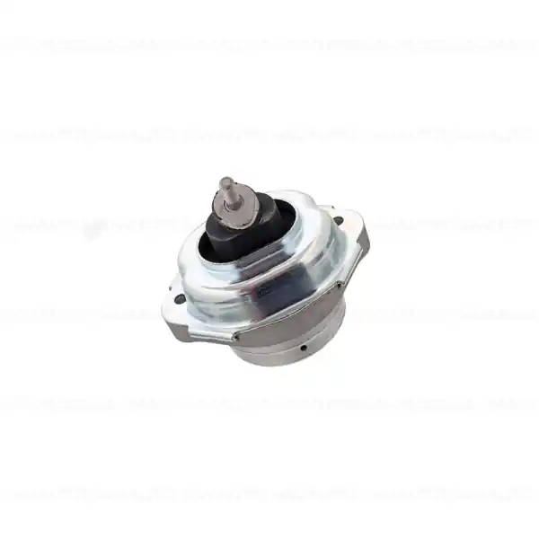 Tampon motor, stanga - BMW X3 E83 Mai ieftin