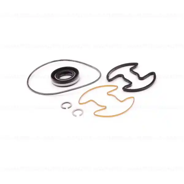 Set garnituri pompa servodirectie - BMW Seria 3 E30 E36, Seria 5 E28 E34, Seria 6 E24, Seria 7 E32, Seria 8 E31, Z1 E30 Preț promoțional