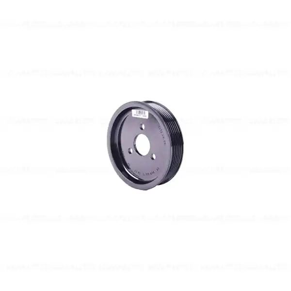 Cumpără online Fulie pompa servodirectie, D=116mm - BMW Seria 5 E60 E61, Seria 6 E63 E63, Seria 7 E65 E66, X3 E83