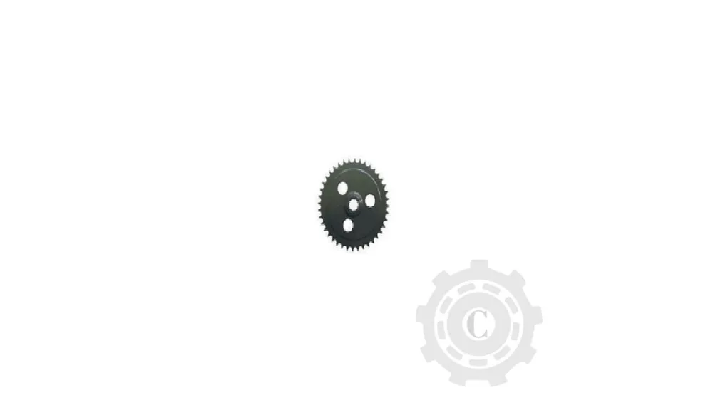 Ofertă exclusivă Pinion 755422