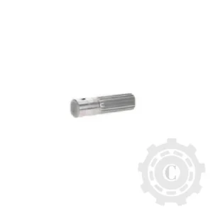 Arbore 603837 Doar azi