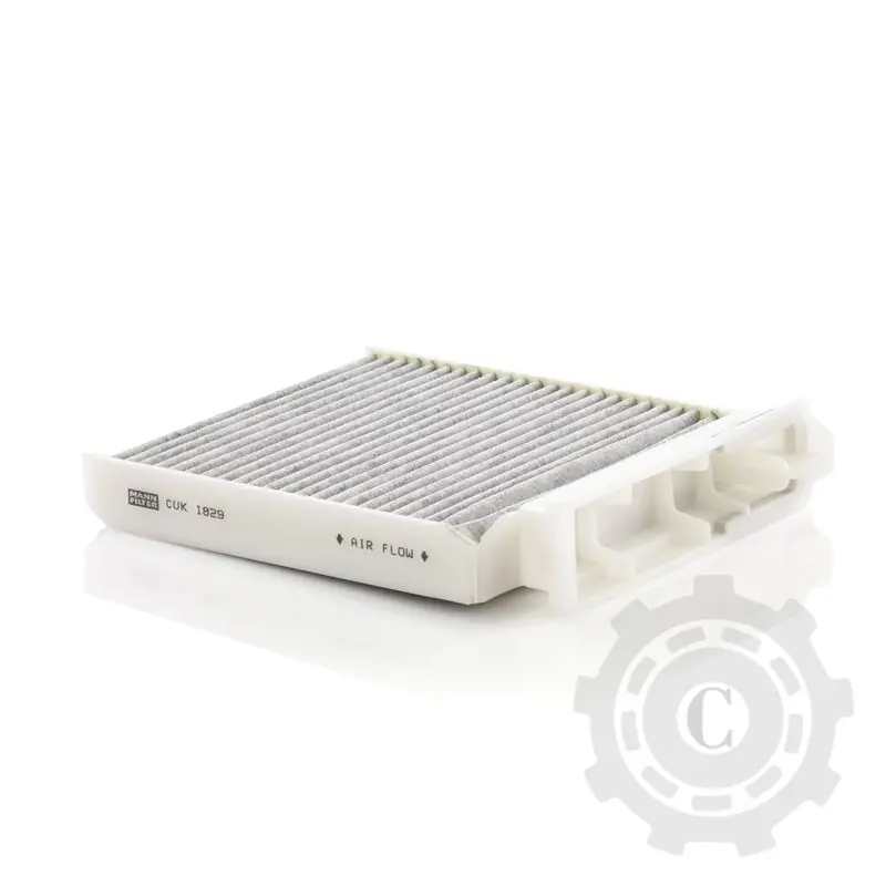 Popular FILTRU HABITACLU CU CARBON ACTIV CUK1829