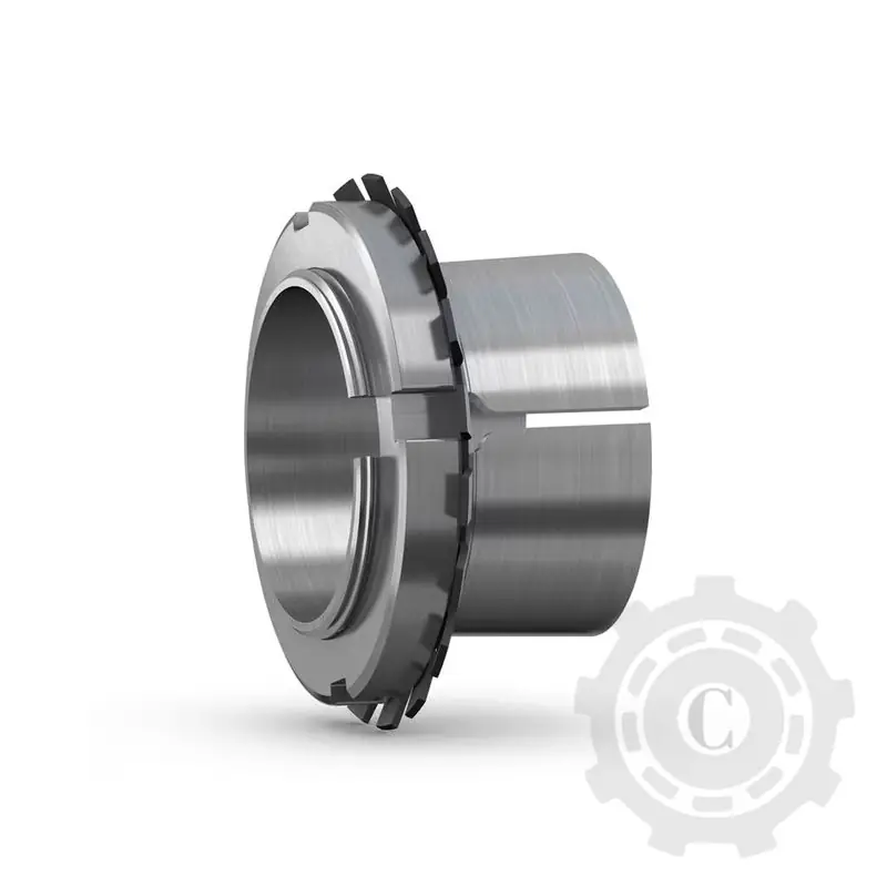 Cumpărături sigure BUCSA H309 SKF