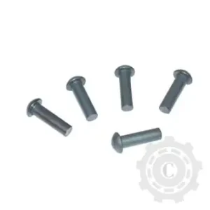 616B Nit cap bombat DIN660 6x16mm pachet 0,5kg Kramp Comandă acum