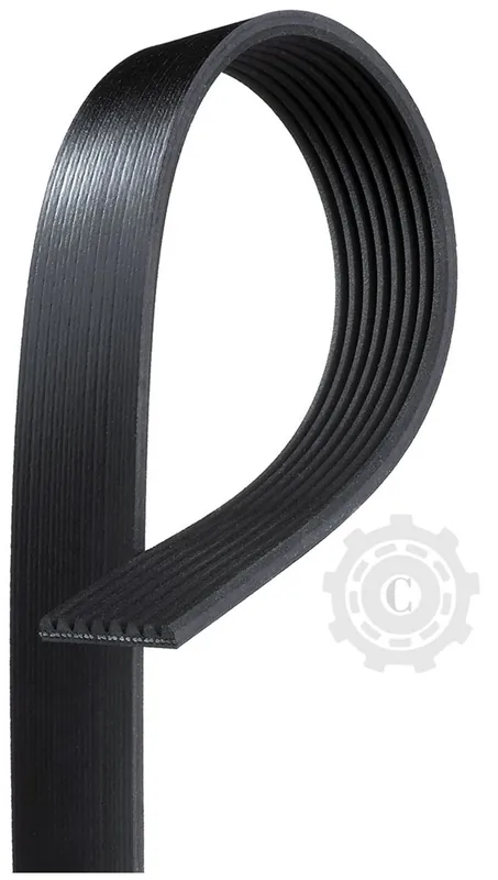 CUREA PK 812 8 RIB Chilipir