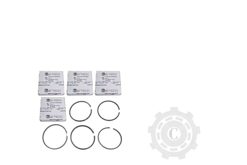 Premium SET SEGMENTI MOTOR U650 FI108 TEC