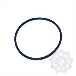 NWS01528 O-RING Preț redus