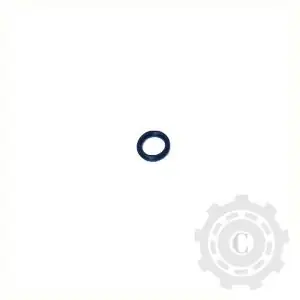 Livrare rapidă NWS00249 O-RING