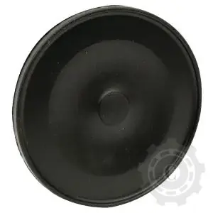 Preț promoțional 65004031090320P MEMBRANA POMPA LATERALA PLINA FI 120MM
