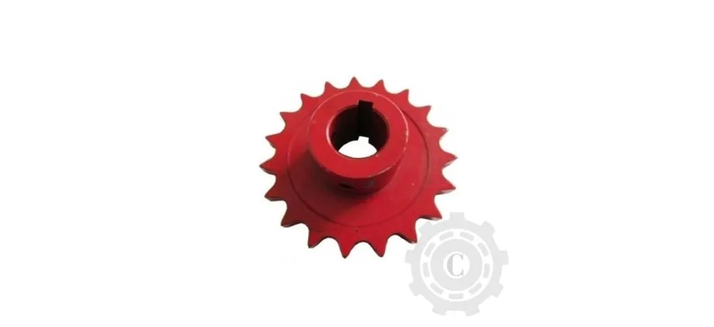 PINION 0308.26.00.00 Ultima șansă