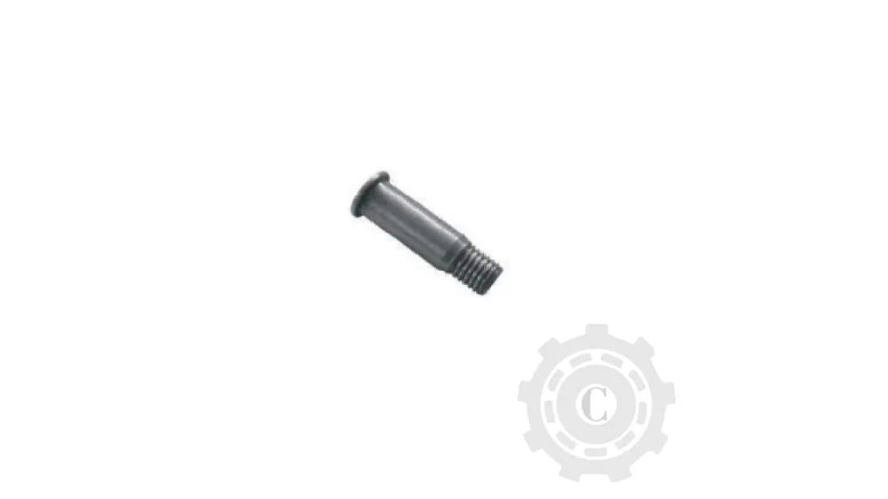 Surub 609934 Transport gratuit