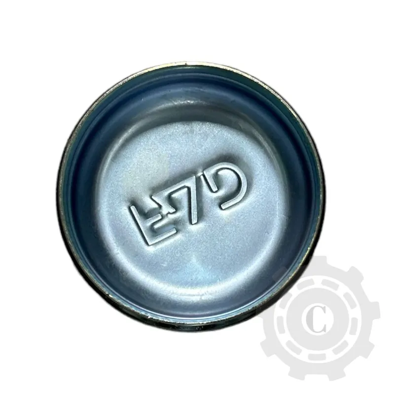 CAPAC DISC F06120237R Expediere rapidă