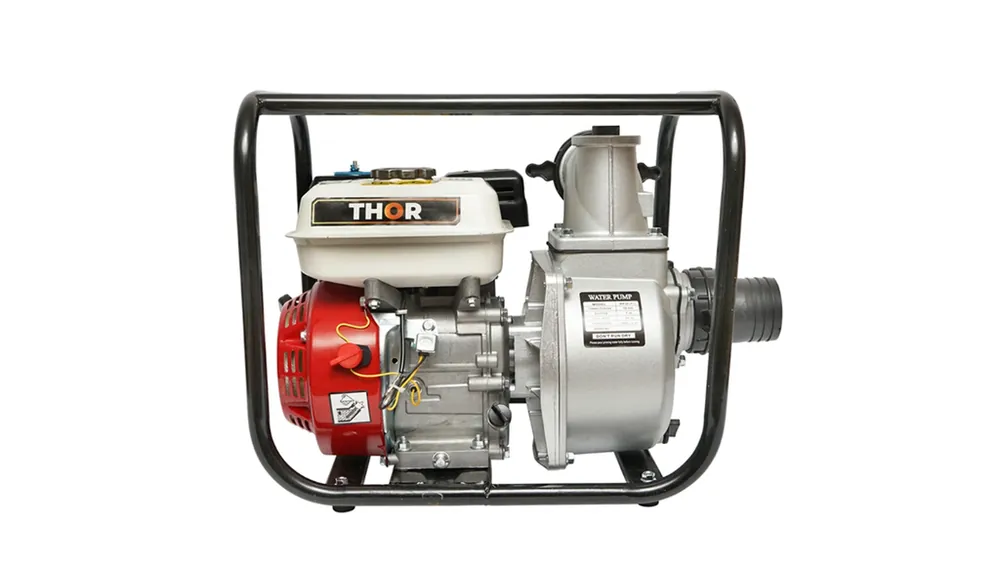 MOTOPOMPA WP30 6.5CP FI 76MM Ofertă specială