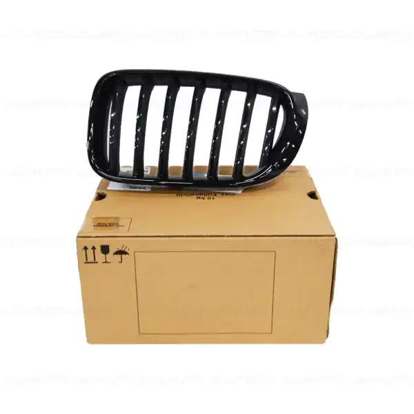 Ofertă de sezon Grila ornamentala radiator, fata, stanga, "BMW M Performance", negru lucios - BMW X3 F25, X4 F26