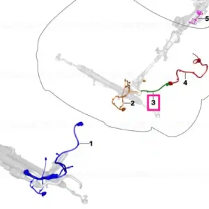 Wiring harness, actuator control module - BMW Super ofertă